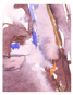 Aquarelle