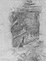 Collagen